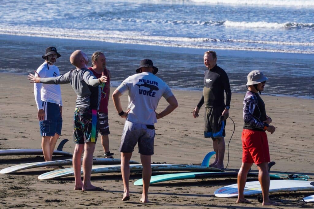 several surf students standing on the beach